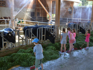 Lernort Bauernhof 2018 (Foto: Hofgut Oberfeld)