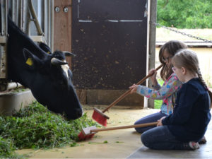 Lernort Bauernhof 2018 (Foto: Hofgut Oberfeld)
