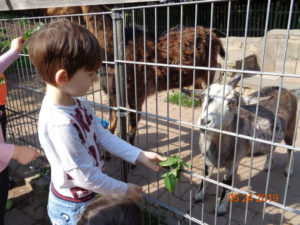 Kinder- und Jugendfarm (KiTa Meissnerweg)