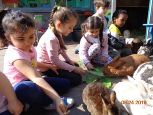 Kinder- und Jugendfarm (KiTa Meissnerweg)