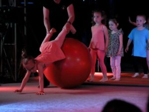 Spielcircus Waldoni